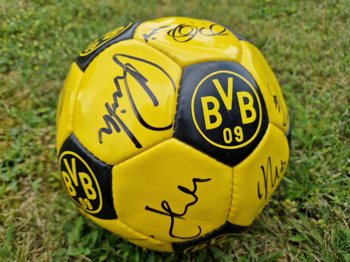 SebastianDeliga's tweet photo. Der Ball zur Erinnerung an die Meisterschaft 1996. Ein Jahr später gewann der @BVB die Champions League. AUF EIN NEUES! https://t.co/J9wlYrM97g