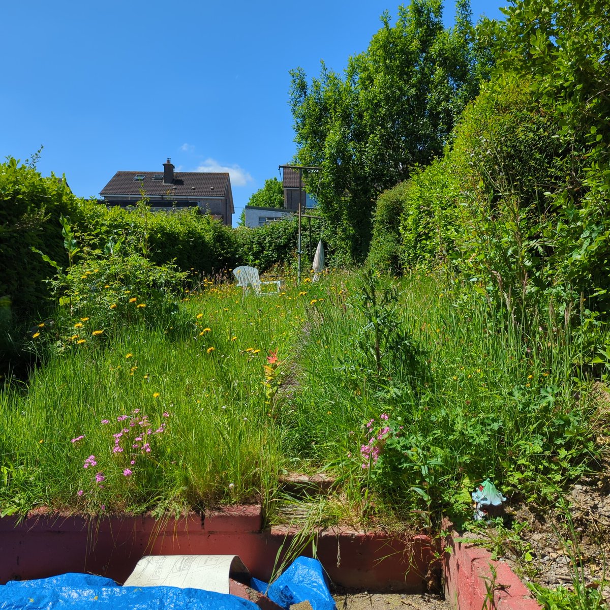 MichaelWebCork's tweet photo. Myself and my partner are finally about to move in after a long renovation :) I'm wondering could I make some sort of business growing food in the garden. Blogging learning to grow food with affiliates? 🤔 https://t.co/RwD3di3eJD