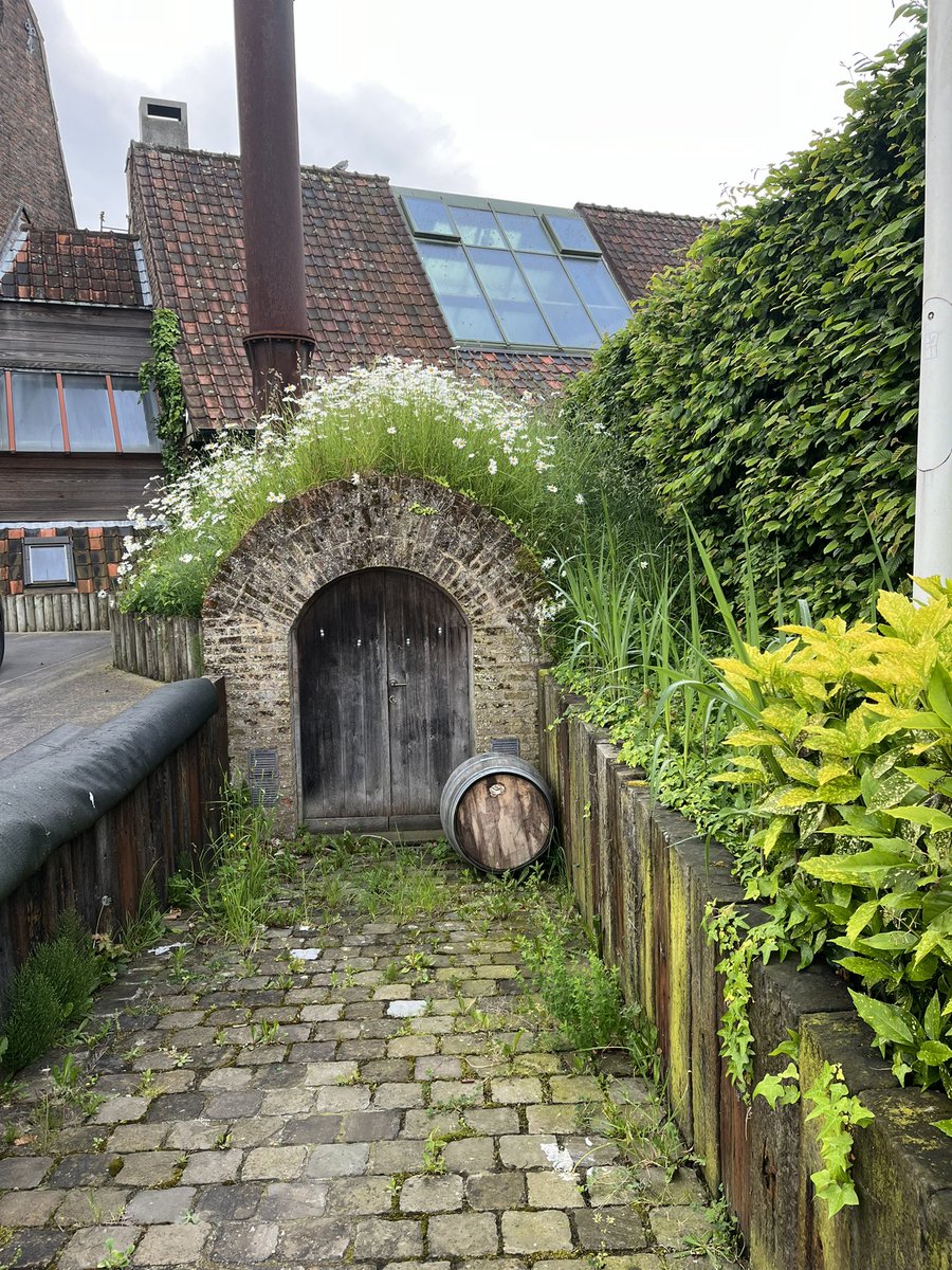 Lode Baele tweet media