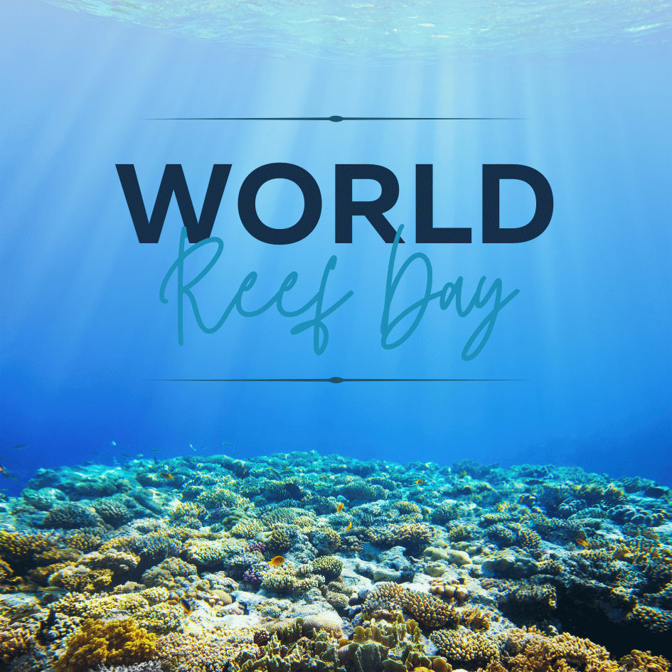 🪸 Happy World Reef Day! Today we come together to raise awareness about one of our oceans' most fragile and vital ecosystems: coral reefs. Let's spread the word, make a difference and help to protect our precious reefs. #WorldReefDay #ReefWorld