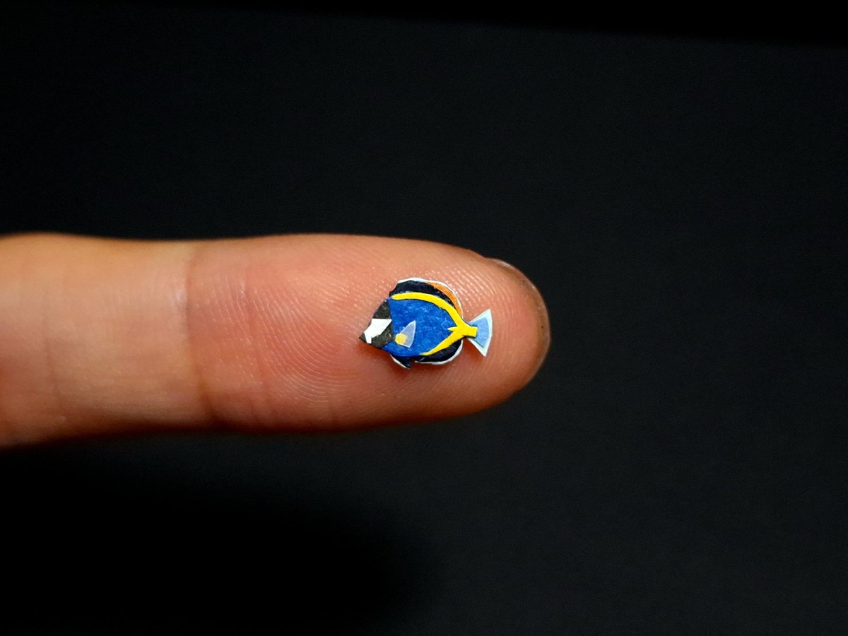 1031(いちまる) tweet media