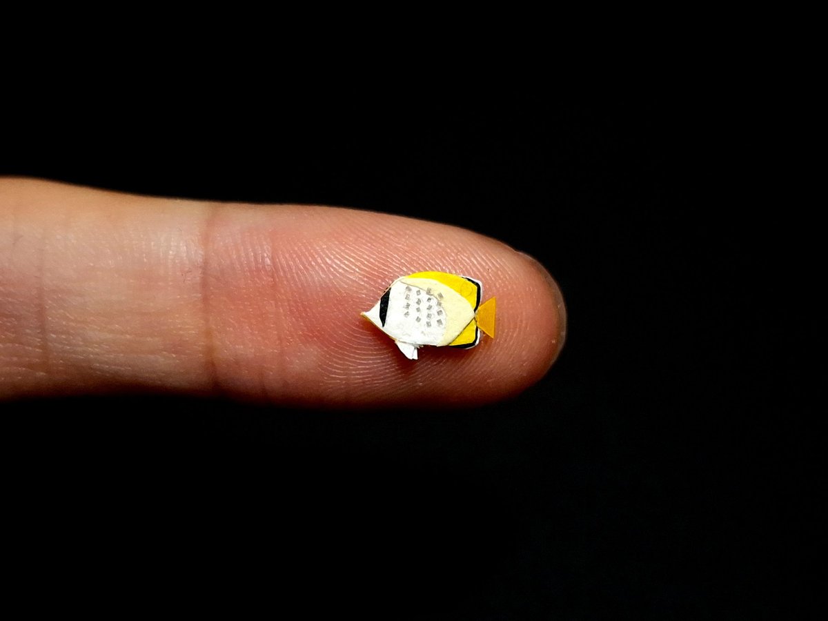 1031(いちまる) tweet media