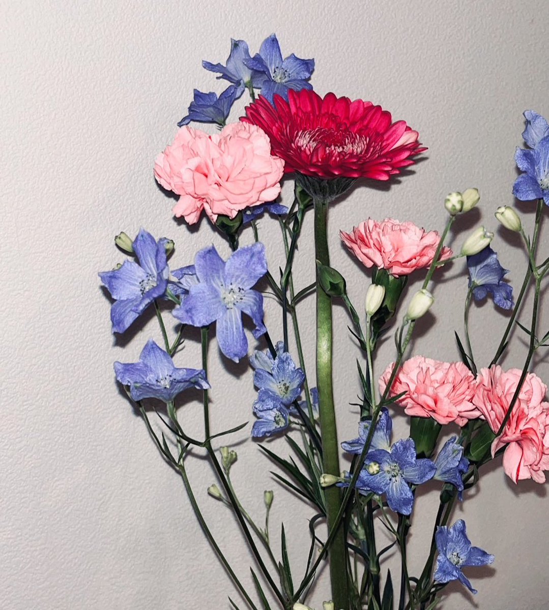 sheepyjp's tweet photo. すぐそこのお店で買ってきたお花 https://t.co/cpp9jgHZlq