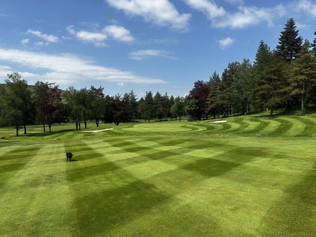HiltonPark Golf Club tweet media