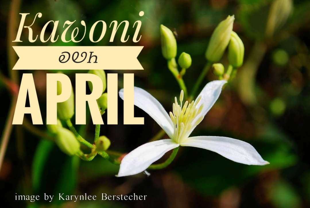 Karynlee Berstecher (@soulfulstuff1) on Twitter photo 