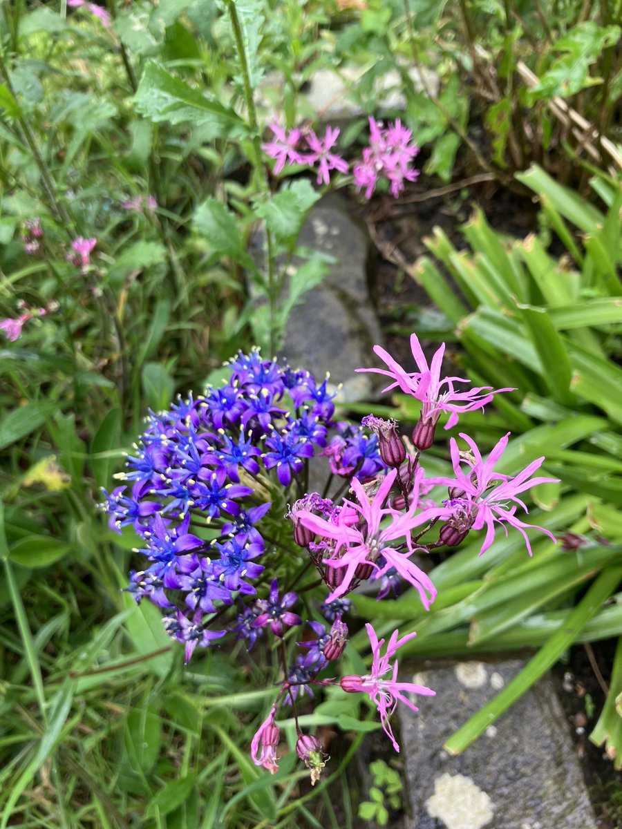 Katie Benallick tweet media