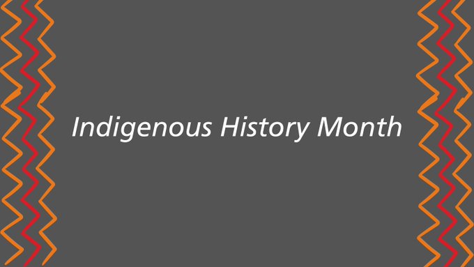 A dark grey background with yellow and red borders on the left and ride in a zig zag pattern. The text reads “Indigenous History Month”