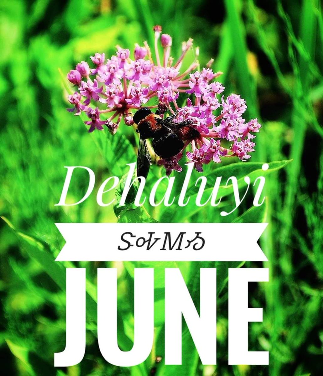 No'i Dehaluyi nole udelegi!
ᏃᎢ ᏕᎭᎷᏱ ᏃᎴ ᎤᏕᎴᎩ!
Now it is June and it is hot!
#dadiwonisi #speakCherokee
