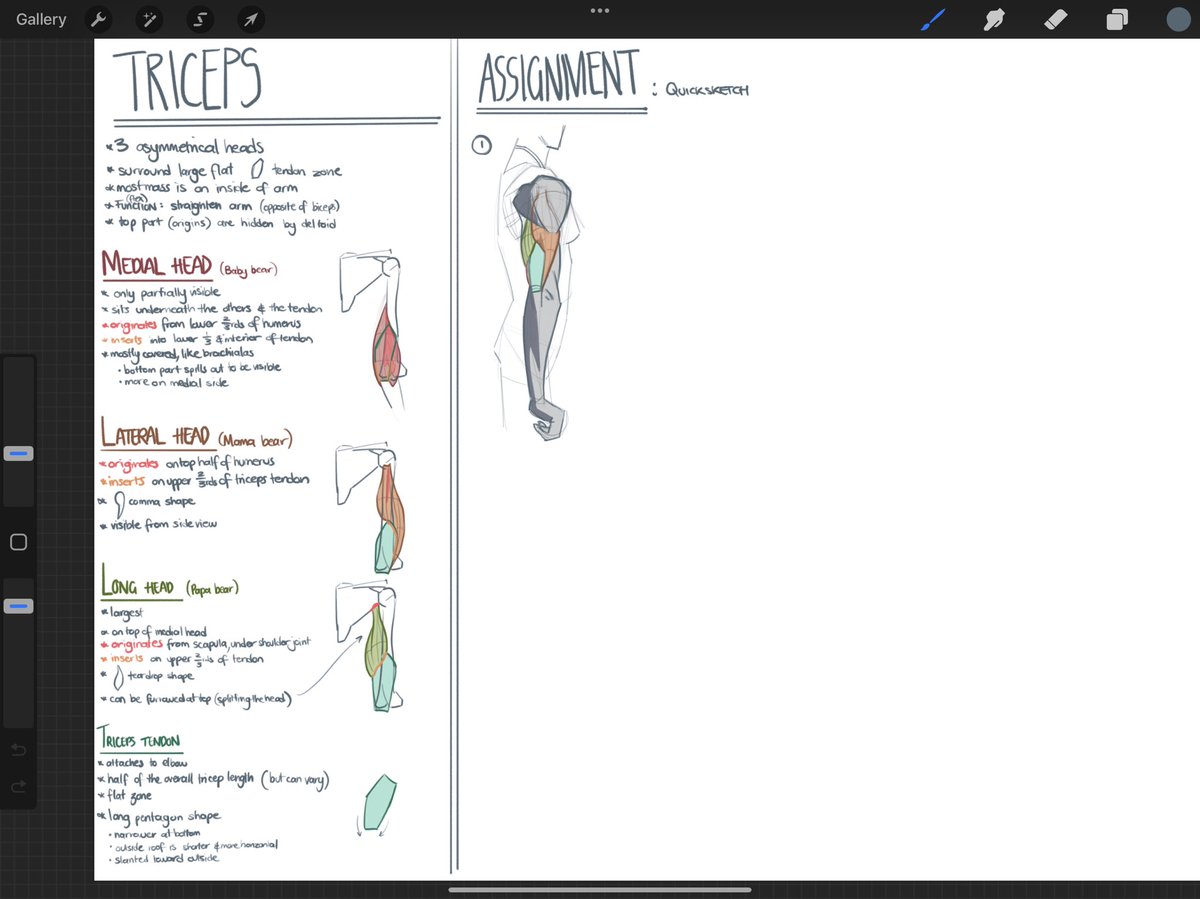 Proko notes :)