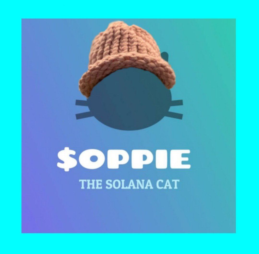 NZDEFI_'s tweet photo. @blknoiz06 Check out the new cat of Tolys @OPPIEonSOL https://t.co/dls0NHwY3U