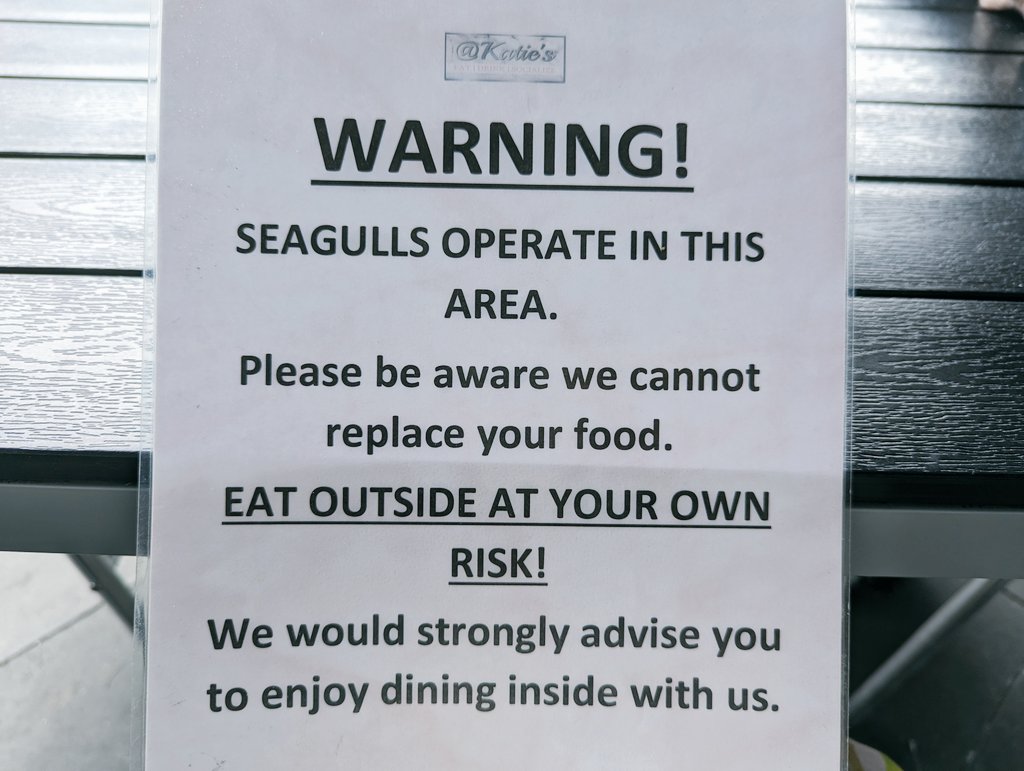 TheCaptainLaika's tweet photo. "Seagulls operate in this area". https://t.co/KsRMeoKXxC