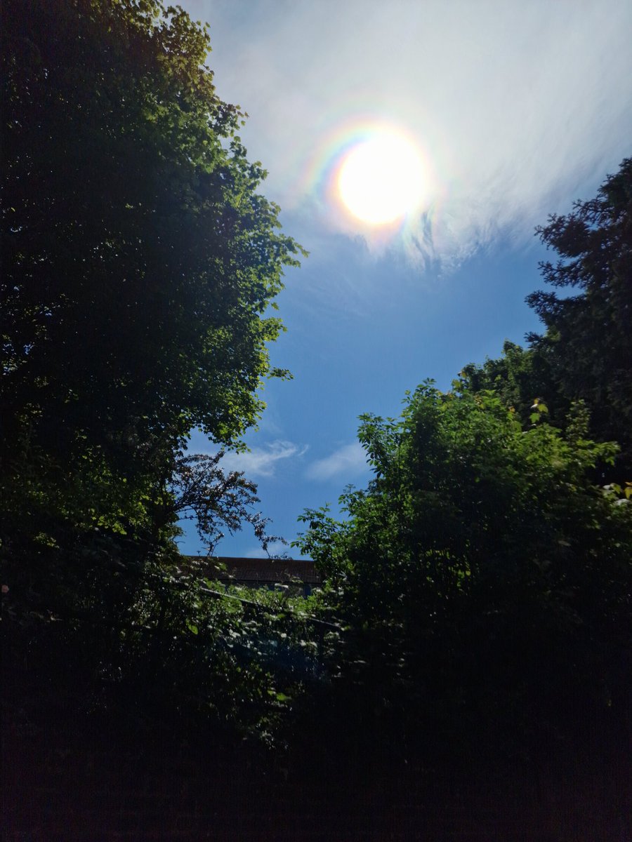 mikeycubed's tweet photo. Nothing better than chilling in the garden with a new podcast episode although I feel like buying a new pair of Converse all of a sudden... π€
#NowListening to @thepigeonshrine #FantasyBizarre #IRobot https://t.co/BipDKPrCyC
