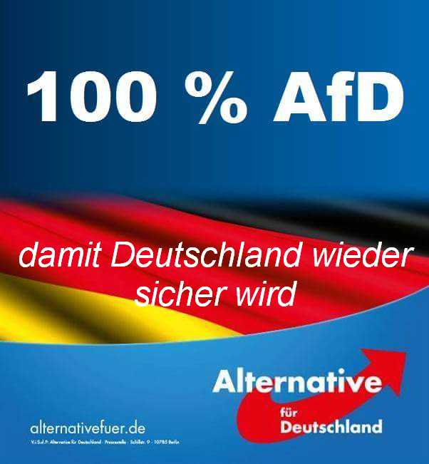 Es gibt nur eine Partei, der ich zutraue unsere innere Sicherheit wiederherzustellen. #Hagen