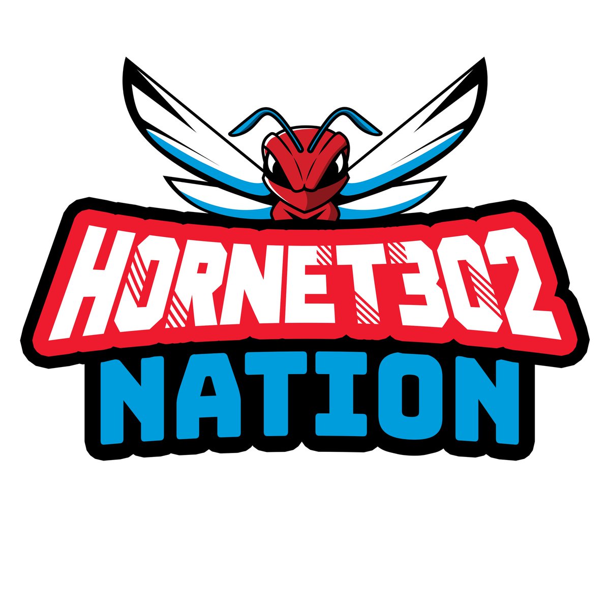 Delaware St. Hornets tweet media