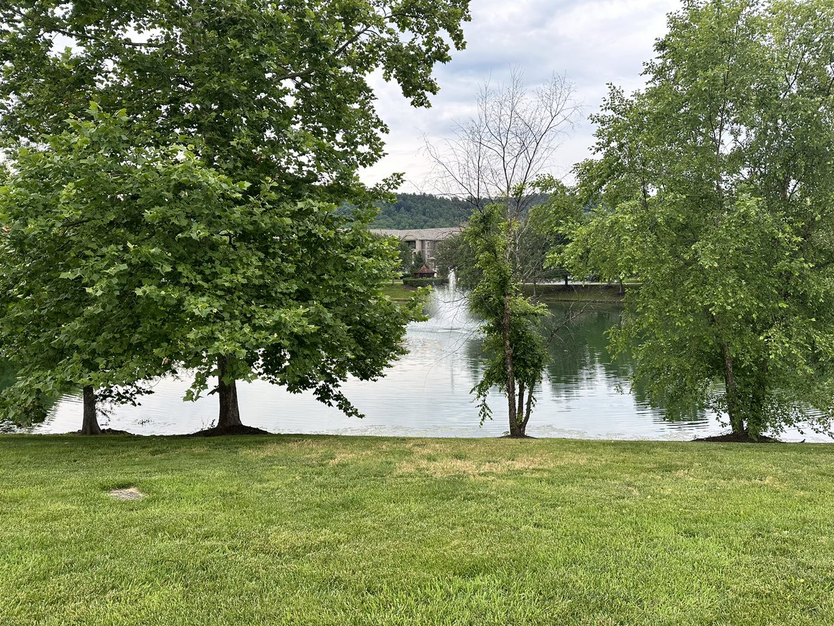 What a WONDERFUL world this would be

If we all did a little less THINKING

And a little more BEING.

#mindfulness #poetrylovers #nature