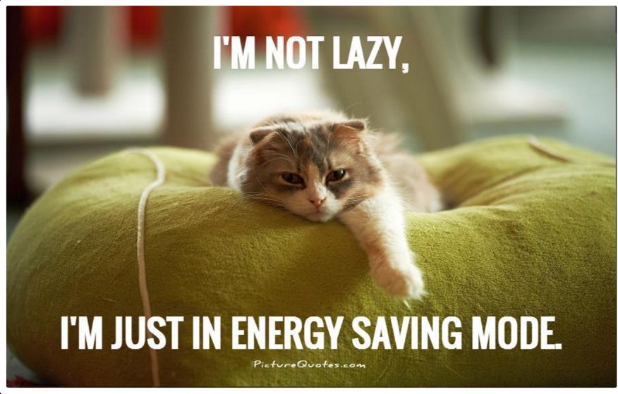 Victoria Kirk (@kirkitude) on Twitter photo 