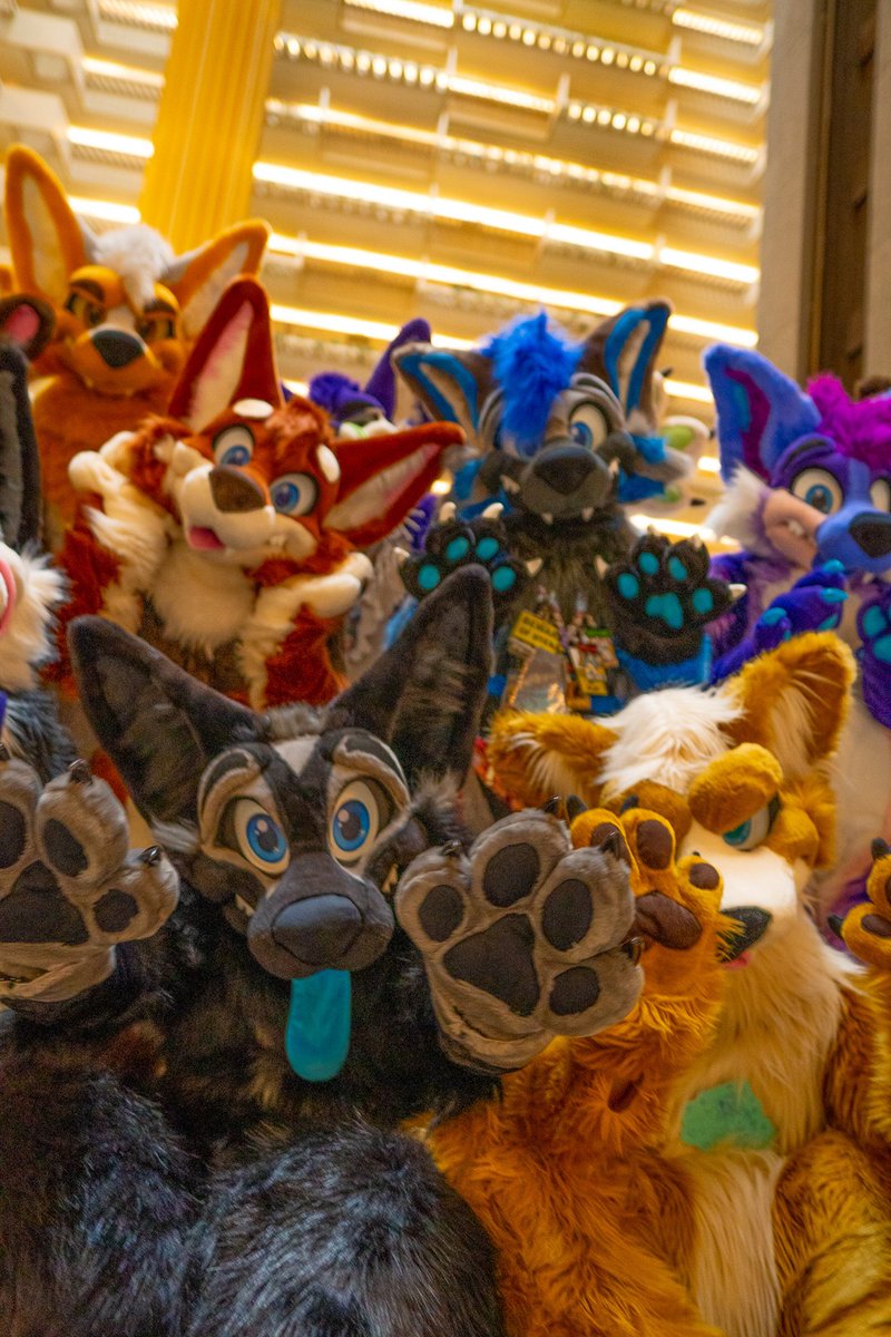 RockySheperd🏳️🌈🔜Furrydelphia 2025 (@rockysheperd) on Twitter photo No matter how you identify, remember to ALWAYS be yourself because you are perfect just the way you are
🏳️🌈HAPPY PRIDE MONTH🏳️🌈
Your Friend,
RockySheperd
🐾: <a href="/SniffWuff/">Sniff Coyote</a>, <a href="/stinkyjingo/">Jingo (Off doing IRL!)</a>, <a href="/PurpleBappsky/">Jey</a>, <a href="/coalthewolf/">Coal_The_Wolf@MEGAPLEX24</a>, <a href="/PitYeen/">Pit the Yeen</a>, <a href="/yeenhaze/">Haze the Hyena</a>, @wachipup
🧵:<a href="/MoreFurLess/">More Fur Less</a>
📷:<a href="/KooperShiba/">𝙆𝙊𝙊𝙋𝙀𝙍 🚀</a> No matter how you identify, remember to ALWAYS be yourself because you are perfect just the way you are
🏳️🌈HAPPY PRIDE MONTH🏳️🌈
Your Friend,
RockySheperd
🐾: <a href="/SniffWuff/">Sniff Coyote</a>, <a href="/stinkyjingo/">Jingo (Off doing IRL!)</a>, <a href="/PurpleBappsky/">Jey</a>, <a href="/coalthewolf/">Coal_The_Wolf@MEGAPLEX24</a>, <a href="/PitYeen/">Pit the Yeen</a>, <a href="/yeenhaze/">Haze the Hyena</a>, @wachipup
🧵:<a href="/MoreFurLess/">More Fur Less</a>
📷:<a href="/KooperShiba/">𝙆𝙊𝙊𝙋𝙀𝙍 🚀</a>