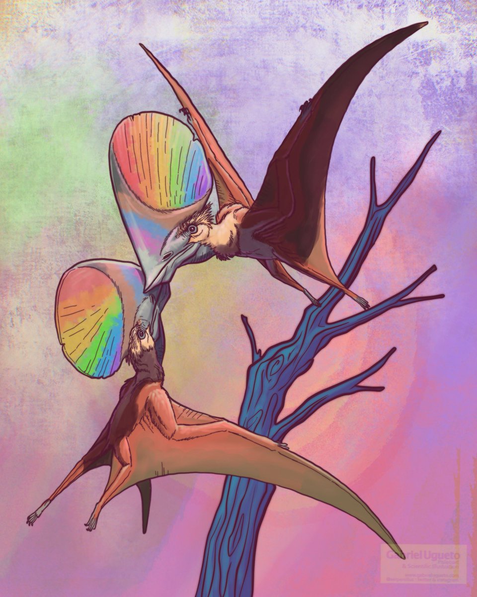 Happy Pride 🏳️‍🌈