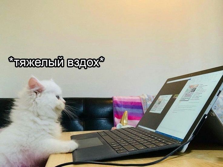 У меня одногруппница прыгнула с парашютом чтобы получить 5 автоматом