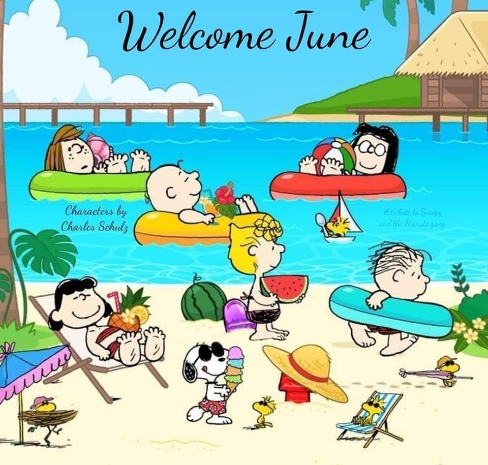 β Ms.W NO DM'S π² (@herecomstrouble) on Twitter photo π Welcome June dear Angels, the door to Summer! π©΅
<a href="/Hamstertweet93/">Robin ποΈ</a> <a href="/blackjag63_LH/">Menkal Man πβ€β€</a> <a href="/WilliamFPeters2/">Bionic Bill π₯ ProChoice πΊπ¦ Woke AF!</a> <a href="/lucci_bill/">Bill Lucci</a> π· <a href="/plain_me9/">JustPlainOldMe π¨π¦</a>
<a href="/Bubu_fan1/">Nguyen (ηΎε½ιιΏ)</a> <a href="/nappi8707/">debbie nappi</a> @jimstep260853 <a href="/padme_star/">Rubina</a>
<a href="/mstjssauce/">Ms. Tj's Sauce</a>
<a href="/Beleafer1/">Rene Tremblay π«No Dmsπ¨π¦πΊπ¦</a>
<a href="/jd_kenji/">kenjiπ€ </a>
<a href="/debbie2291/">ποΈpcgirl ππππΎπ¨π¦π»πΊππ³οΈβππ³οΈββ§οΈ</a>
<a href="/MaryMarykf61/">Mary</a>
<a href="/MarvinH03240182/">Marvin Holmes</a>
π©΅π©΅π©΅π©΅π©΅π©΅π©΅π©΅π©΅π©΅π©΅π©΅π©΅ π Welcome June dear Angels, the door to Summer! π©΅
<a href="/Hamstertweet93/">Robin ποΈ</a> <a href="/blackjag63_LH/">Menkal Man πβ€β€</a> <a href="/WilliamFPeters2/">Bionic Bill π₯ ProChoice πΊπ¦ Woke AF!</a> <a href="/lucci_bill/">Bill Lucci</a> π· <a href="/plain_me9/">JustPlainOldMe π¨π¦</a>
<a href="/Bubu_fan1/">Nguyen (ηΎε½ιιΏ)</a> <a href="/nappi8707/">debbie nappi</a> @jimstep260853 <a href="/padme_star/">Rubina</a>
<a href="/mstjssauce/">Ms. Tj's Sauce</a>
<a href="/Beleafer1/">Rene Tremblay π«No Dmsπ¨π¦πΊπ¦</a>
<a href="/jd_kenji/">kenjiπ€ </a>
<a href="/debbie2291/">ποΈpcgirl ππππΎπ¨π¦π»πΊππ³οΈβππ³οΈββ§οΈ</a>
<a href="/MaryMarykf61/">Mary</a>
<a href="/MarvinH03240182/">Marvin Holmes</a>
π©΅π©΅π©΅π©΅π©΅π©΅π©΅π©΅π©΅π©΅π©΅π©΅π©΅