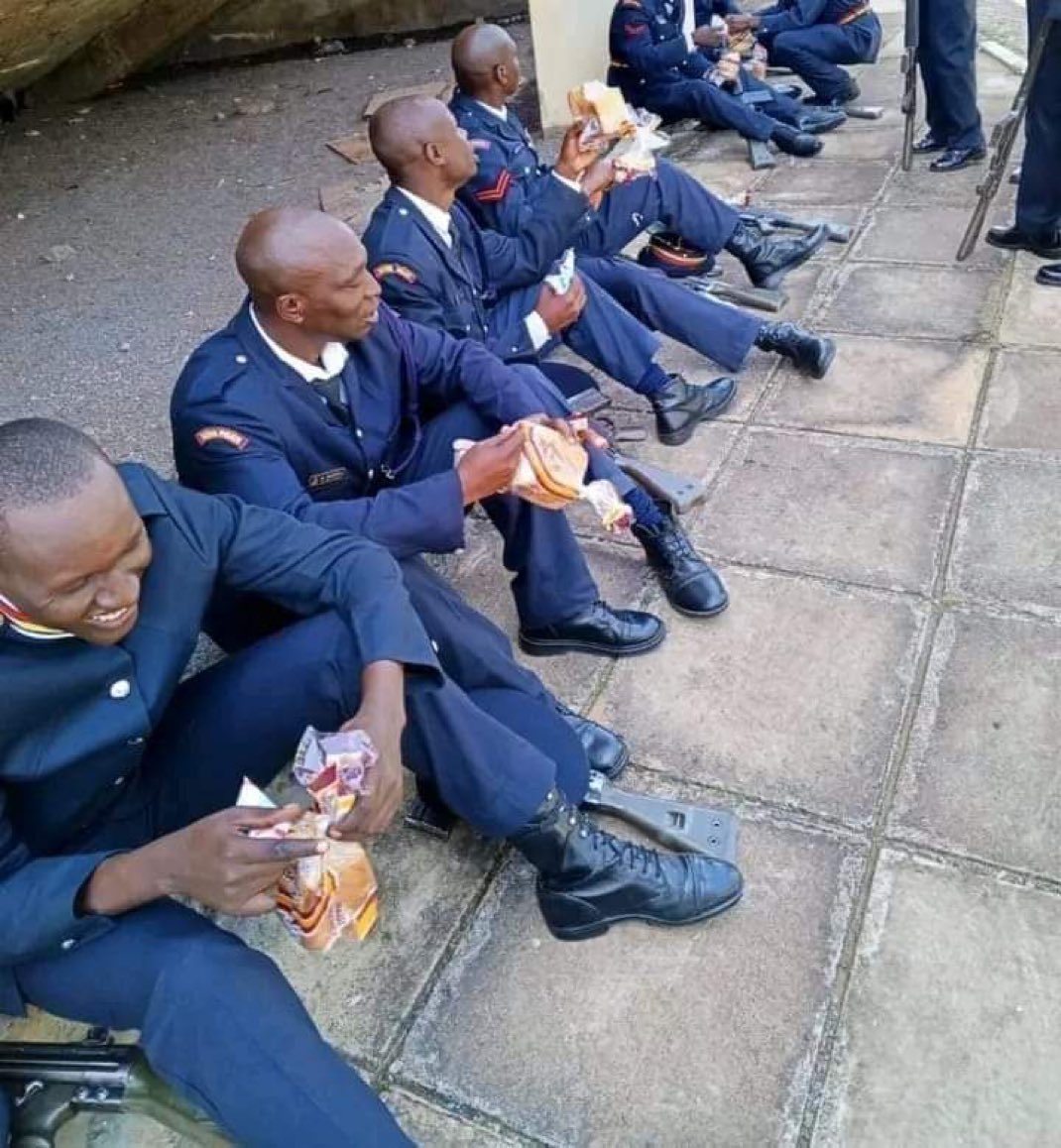 Robert ALAI, HSC tweet media