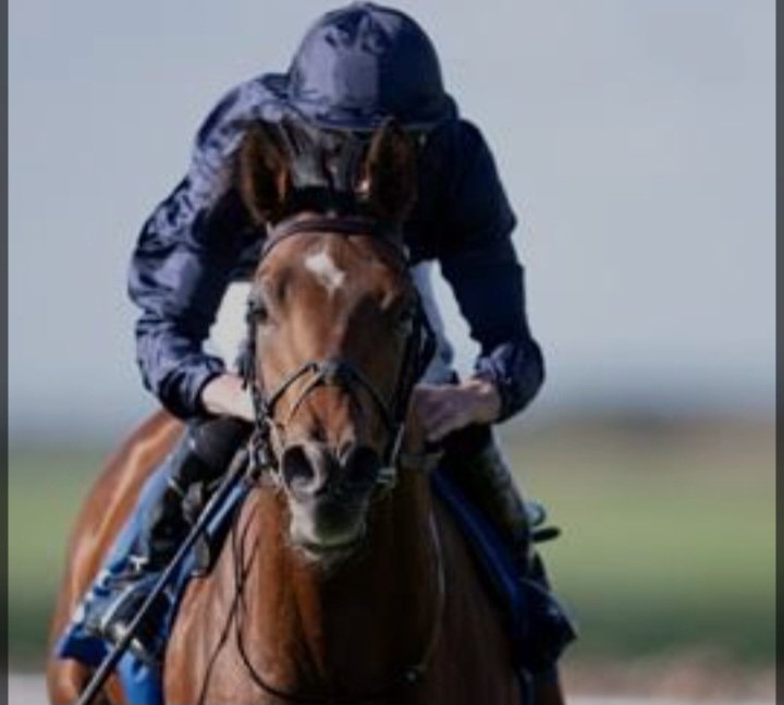 Sheer training genius from Aidan O'Brien. Congratulations to <a href="/Ballydoyle/">Ballydoyle Racing</a> <a href="/coolmorestud/">Coolmore</a>. What a horse, #cityoftroy