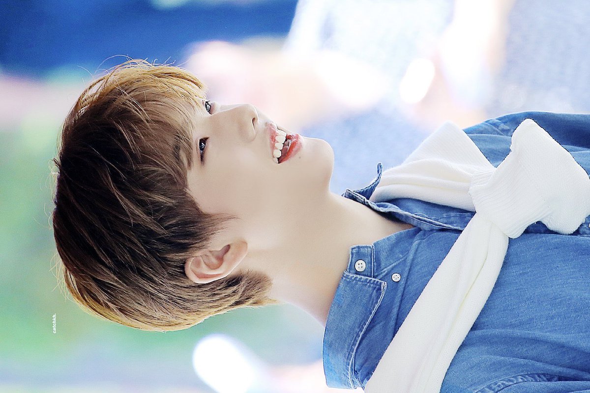 wewereinplanet's tweet image. 레전드자연광지성으로볼수있는
지성성장기 …………// ♪