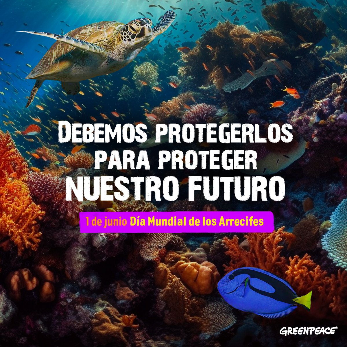 Hoy, en el Día Mundial de los Arrecifes, recordamos la vital importancia de estos ecosistemas 🪸. Los arrecifes embellecen nuestros océanos, albergan biodiversidad y protegen nuestras costas 🌊🐠. ¡Es crucial protegerlos! 💙 Únete y firma aquí act.gp/4c0Rrxn 👈