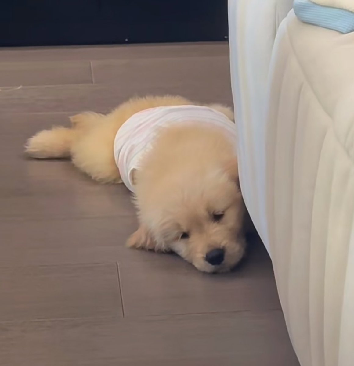 เดี๋ยวนี้ไม่เห้นพุดว่ารักกันเลย