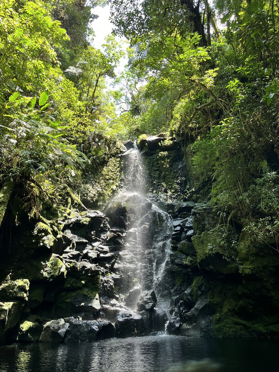 lambmeza's tweet photo. Cerro Danta - Catarata Velo de Novia https://t.co/JsAmGlQjpT