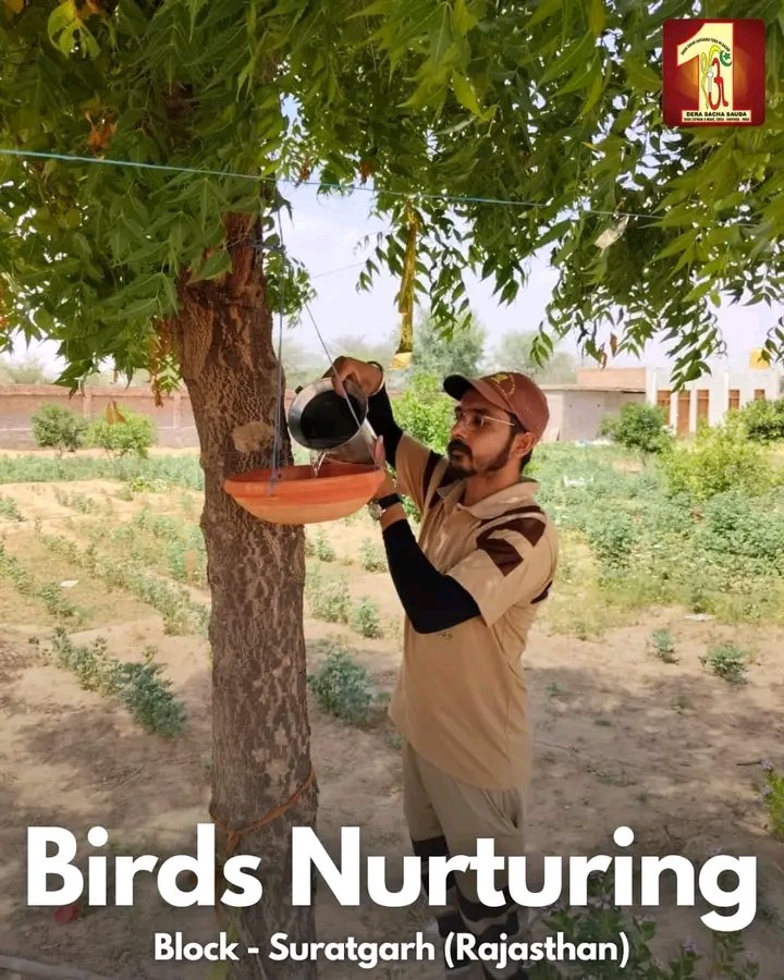 We are seeing how much heat is increasing day by day which is making the condition of humans also bad, then think about the birds who cannot ask for water or food by speaking. So let us all together support the #BirdsNurturing campaign run by #SaintMSG
#SaveBirds