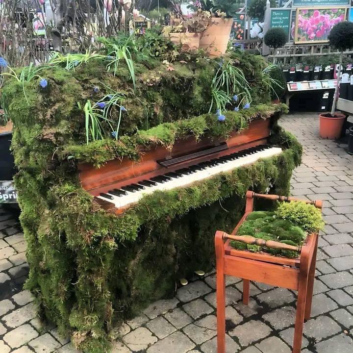 BTC Piano Tuner 🎹⚡️⛏ tweet media