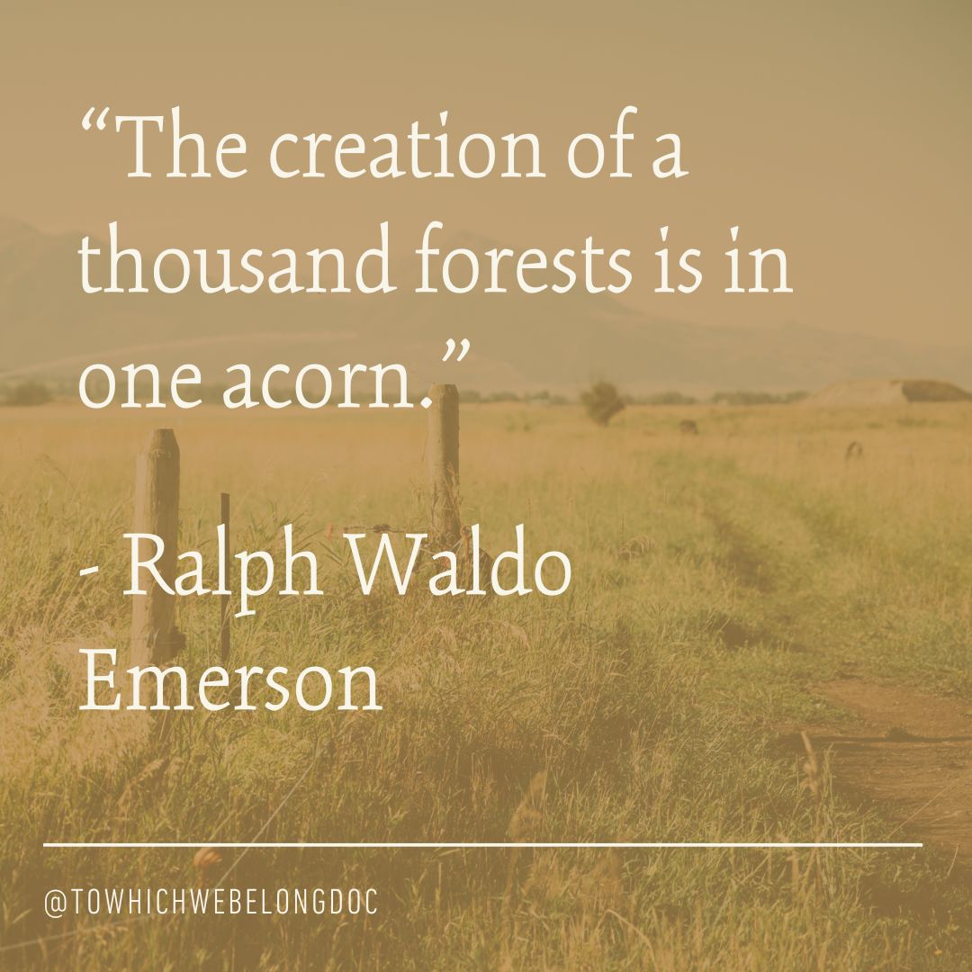 “🎥 TO WHICH WE BELONG available now on Apple, Amazon, Google Play, Vimeo, Vudu, &amp; YouTube.

Watch: buff.ly/3FHjSSg

#naturequote #ralphwaldoemerson