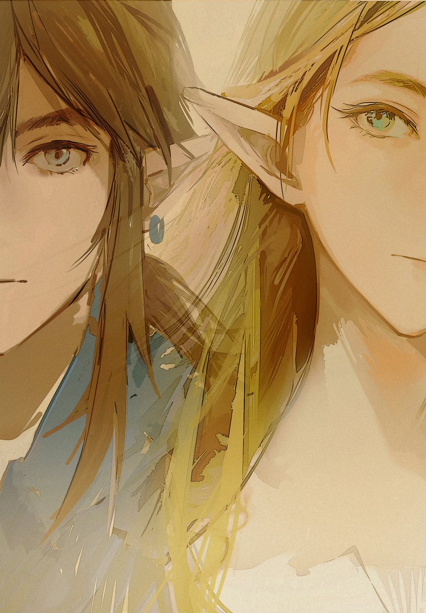 #zelda #zelink