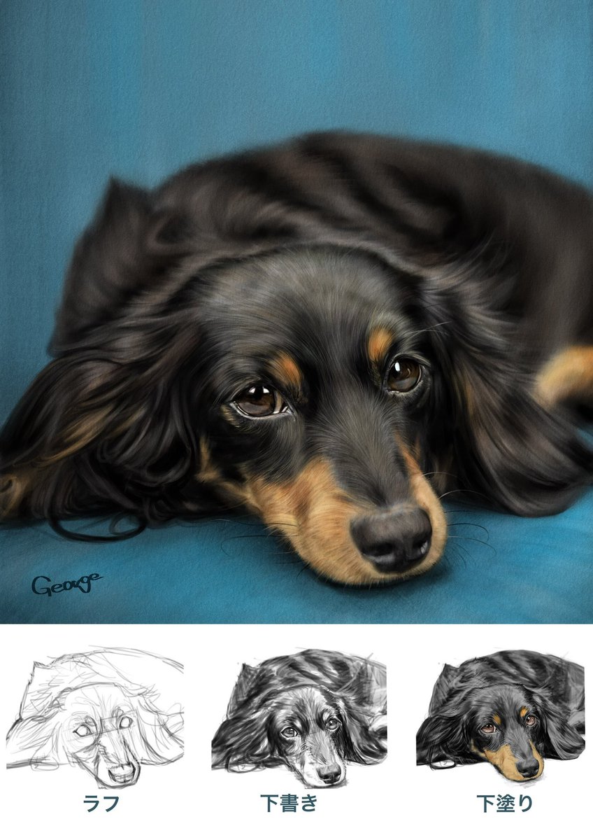 AOarbBwKmNNQrd5's tweet photo. 今週は犬さんの練習絵です🐶☺️

今月は主にドラマの俳優さんを描こうと思っています🥰
6月もよろしくお願いします‼️

お写真: Pexels 
使用ソフト: CLIP STUDIO PAINT

#イラスト練習 #illustration #犬 #dog https://t.co/4dVsgGt5a9