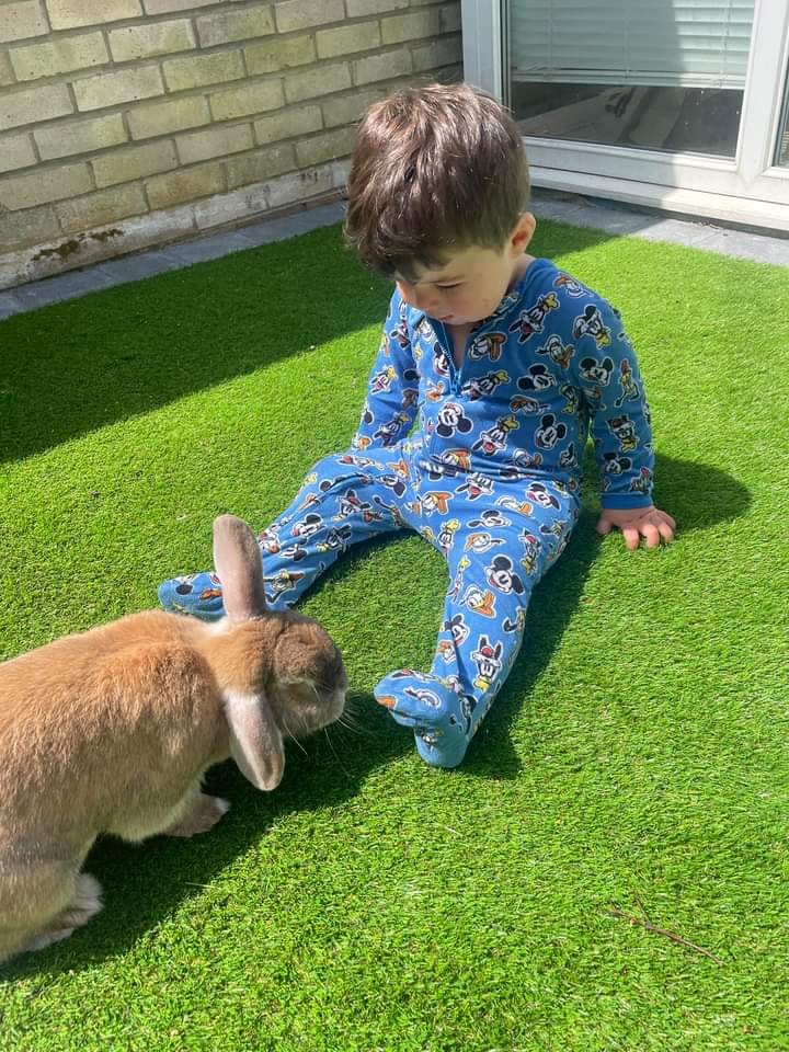 RabbitUnion tweet picture