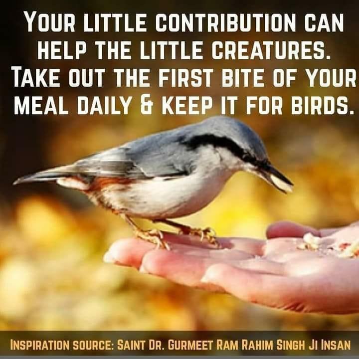 The little creatures need our help in hot seasons. Feed them & provides water thought Birds Feeders to #SaveBirds is surely a real lifeline for them.
#BirdsSave