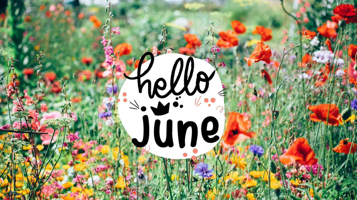 SkyWatcher_HL's tweet photo. It’s so nice to wake up to the sunshine on this beautiful June 1st! Summer is coming folks🌞🌻
Happy Saturday!
#juneishere #welcomejune #june1st #summeriscoming #summerisalmosthere https://t.co/M93hbqlIjZ