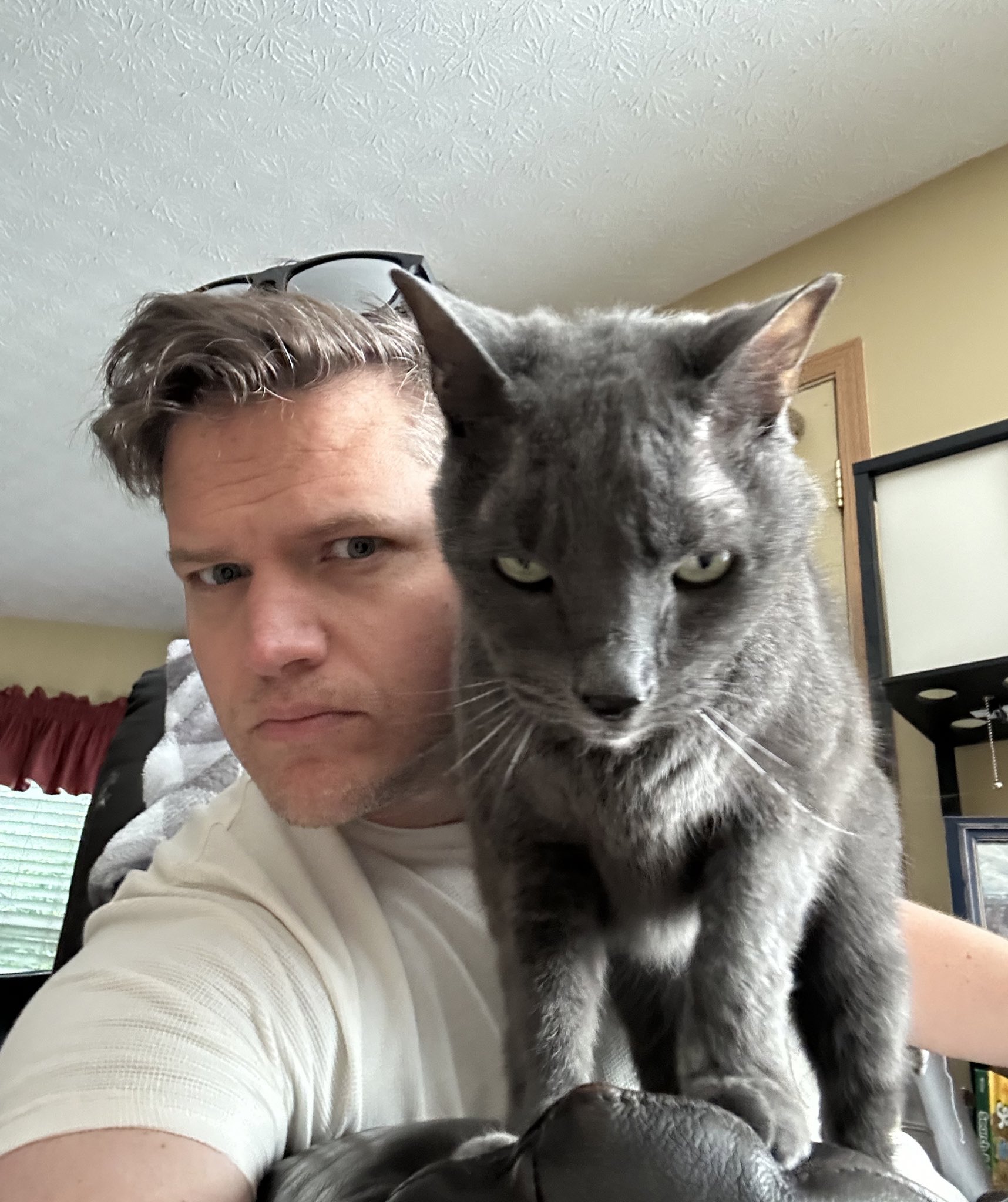 GO_h3C6WQAAti2U.jpg:large