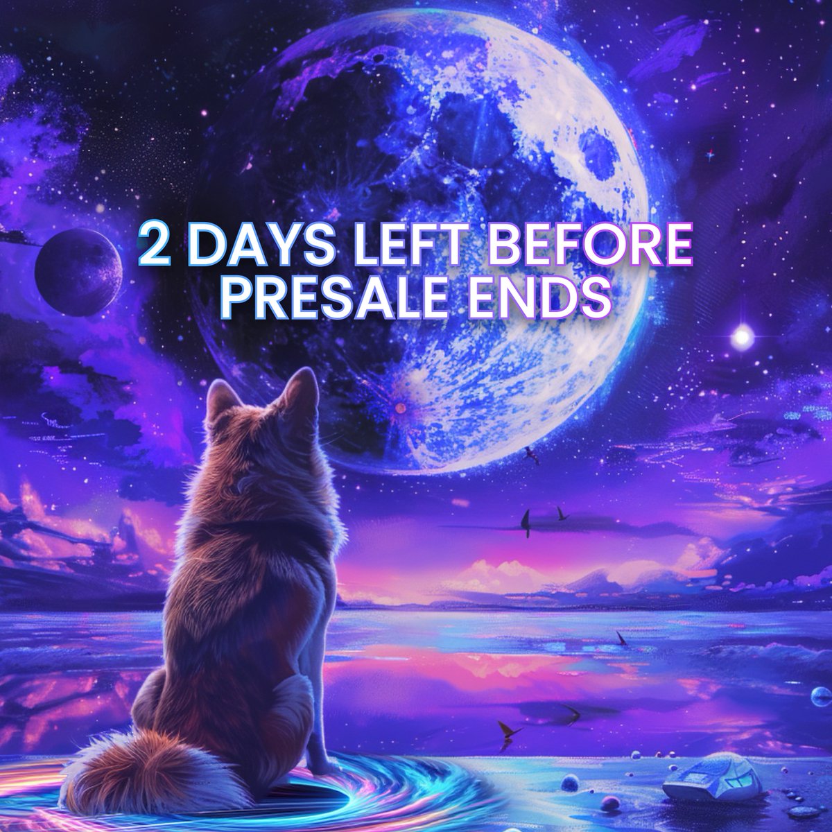 The_DogeVerse's tweet image. Just 2 days remaining till the #Presale ends! 🌠

Don’t miss your final opportunity to grab some $DOGEVERSE! 🚀

The first #DOGE #Memecoin to be available on 6 different #Blockchains! 🌀

#Solana #Altcoins #Crypto #Web3