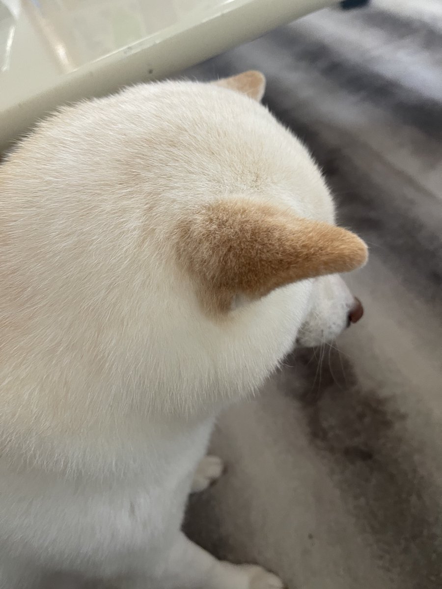 go20597673's tweet image. #自分が気に入ってる写真を1枚選んで無言で貼る