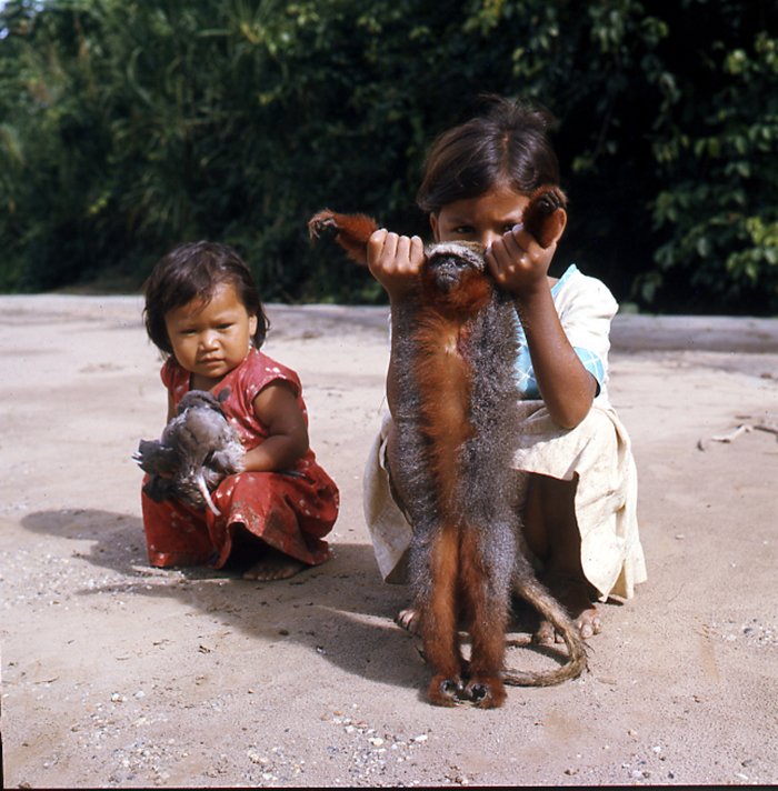 Día del Niño Imbabura, 1968 Cuzco, Perú, 1960 Guayaquil, 1973 Río Cayapas, Esmeraldas, 1975 Fotos: Rolf Blomberg © Archivo Blomberg