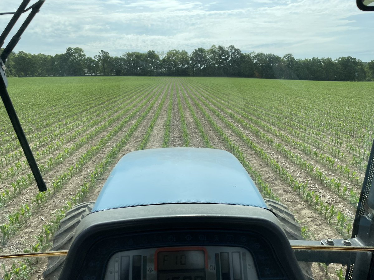 Thankful for all of my gravel soil this year.  Neighbors clay ground is still too wet to plant.   Hoping they miss the rain forecasted for the next few days!