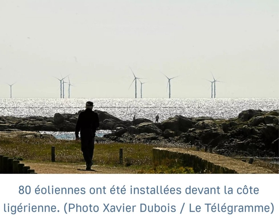 Ils sont tombés sur la tête ?
Projet éolien de Dunkerque: 46 éoliennes de 300 m de haut à 10 km des côtes !!!
Déjà que celles de "St Nazaire" de 175 m de haut (seulement...) à 12 km de la côte saccagent la beauté des paysages littoraux...
lenergeek.com/2024/05/31/pro…