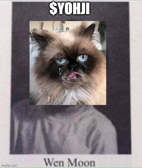 YOHJICTO's tweet photo. $YOHJI wants to know wen moon?

#Solana $MICHI #MemeCoinMadness $CAT https://t.co/sYgjUM75c8