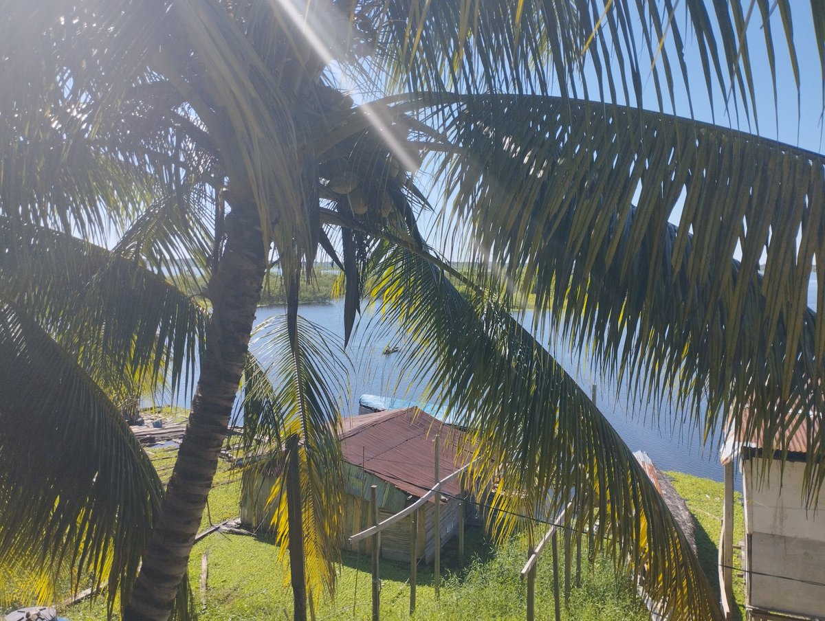 Fernando Morales tweet media