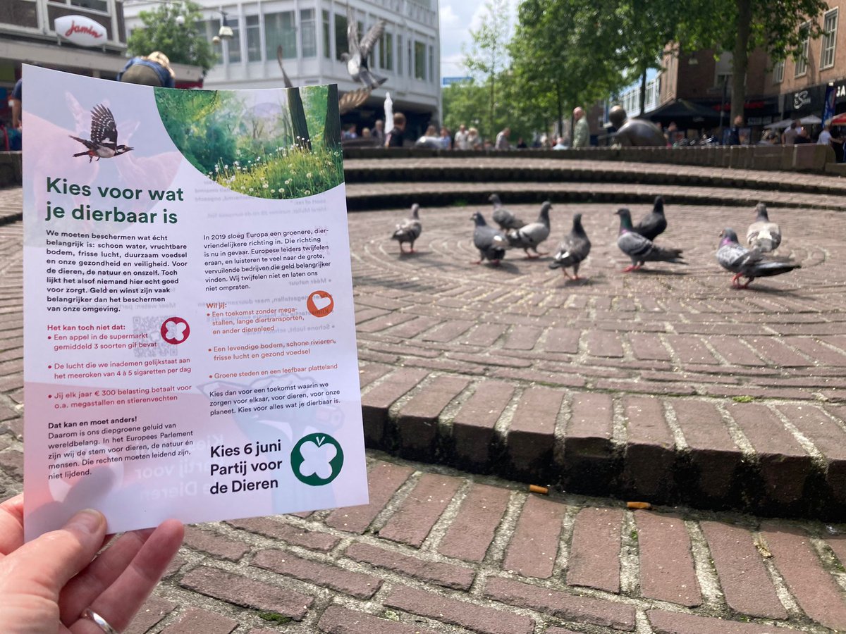 PvdDOverijssel's tweet photo. https://t.co/Re8iBh1NQX
