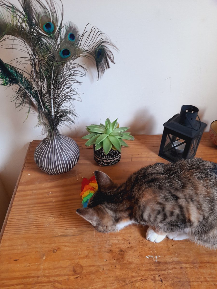 wildasabeeswing's tweet photo. HAPPY #LGBTQ #PRIDE Month! ✊️🥰🌈 

To celebrate I'll be wearing these fab #rainbow earrings on my #RecoveryRide throughout June 😁

I'll also be reflecting on #prideinrecovery and sharing more about the awesome #LGBT support services that are part of @Humankind_UK https://t.co/v35CfxfAJW