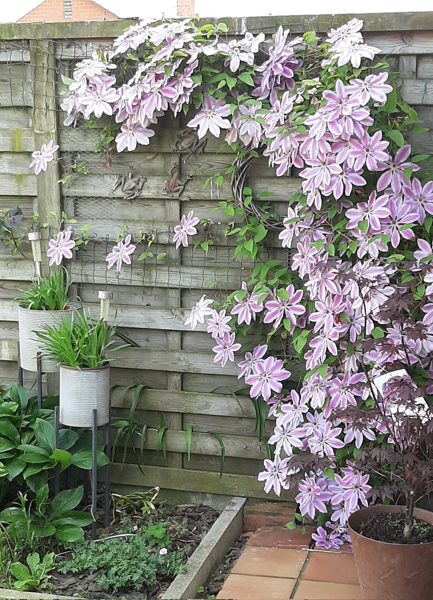 Nancy Cools tweet media