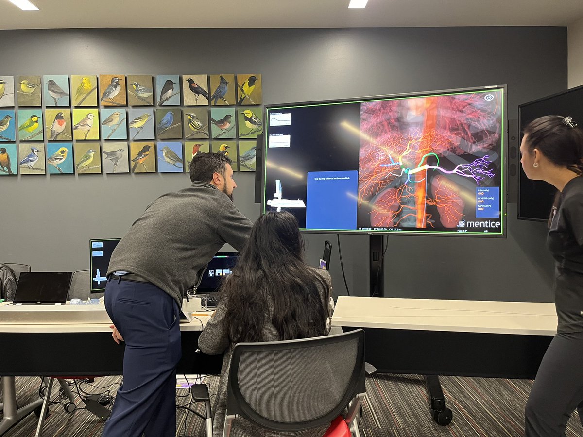 VIRGLS 2024 tweet media